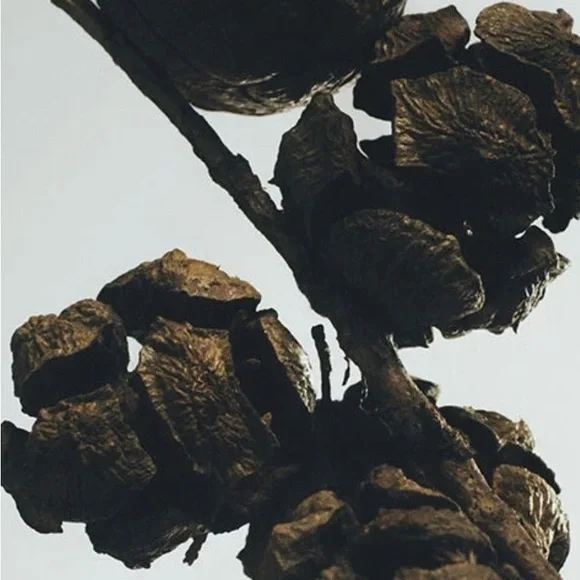 NWT LOEWE Medium Cypress Balls Candle (blue terracotta vessel) - Picture 3 of 8